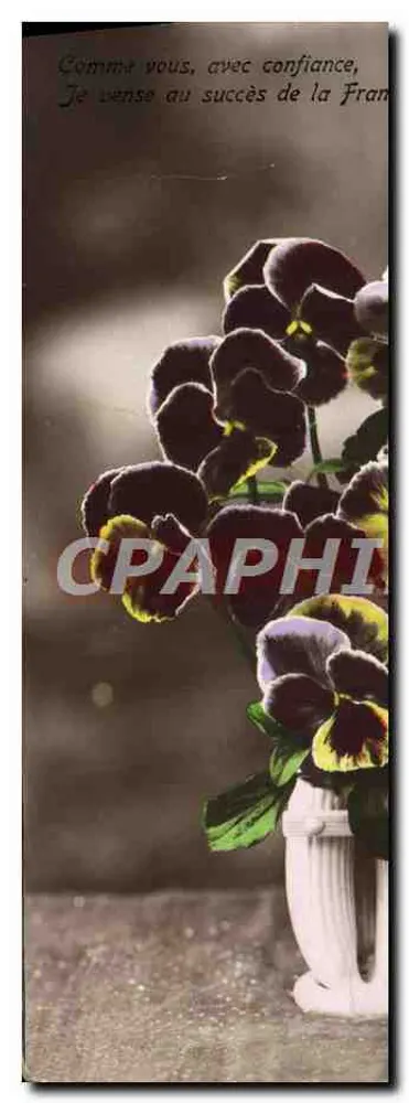 Pansy w wazie — kartka pocztowa patriotyczna — wydawca - Awers