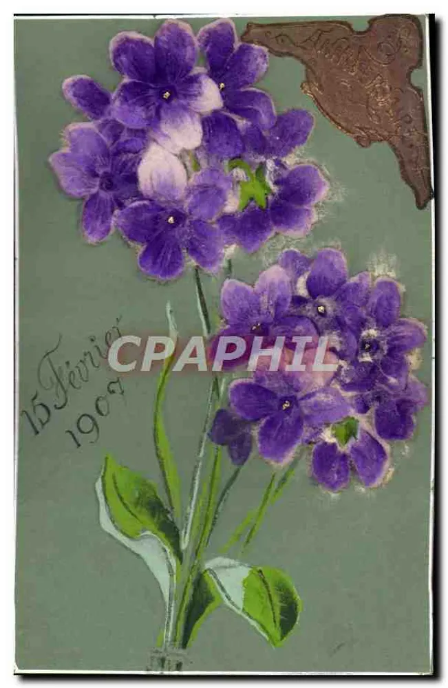Flores violetas — cartão postal datado de 15 de fevereiro de 1907 — editor desconhecido - Frente