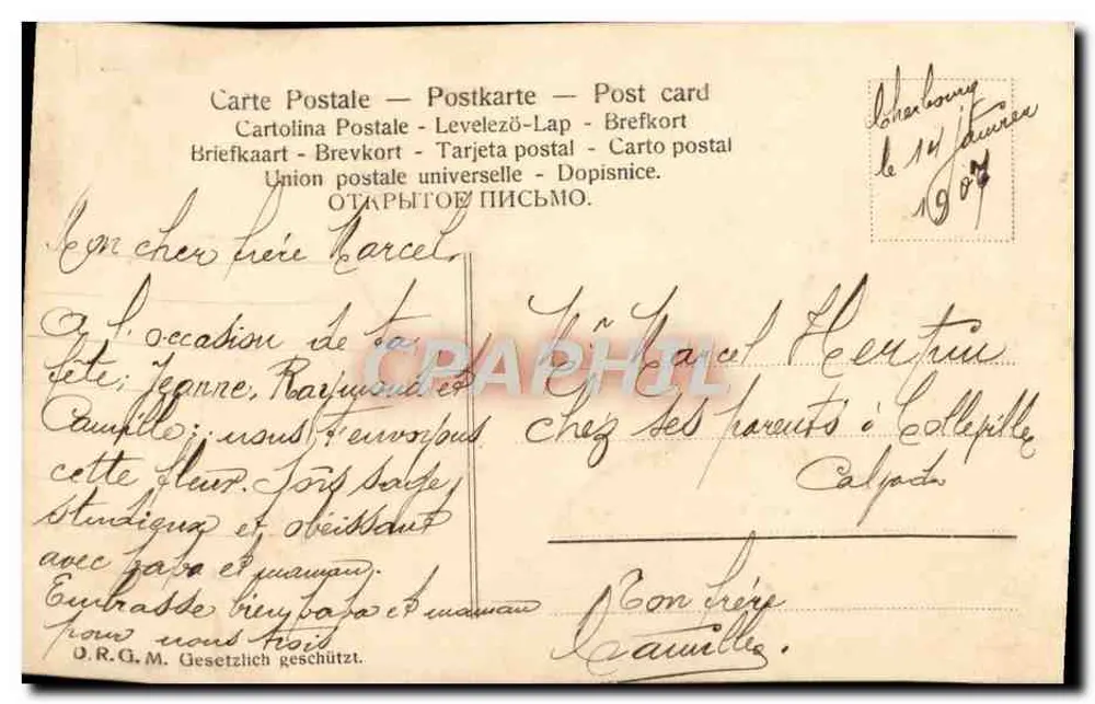 Rosas — decoração em ouro — editor D.R.G.M. - Verso