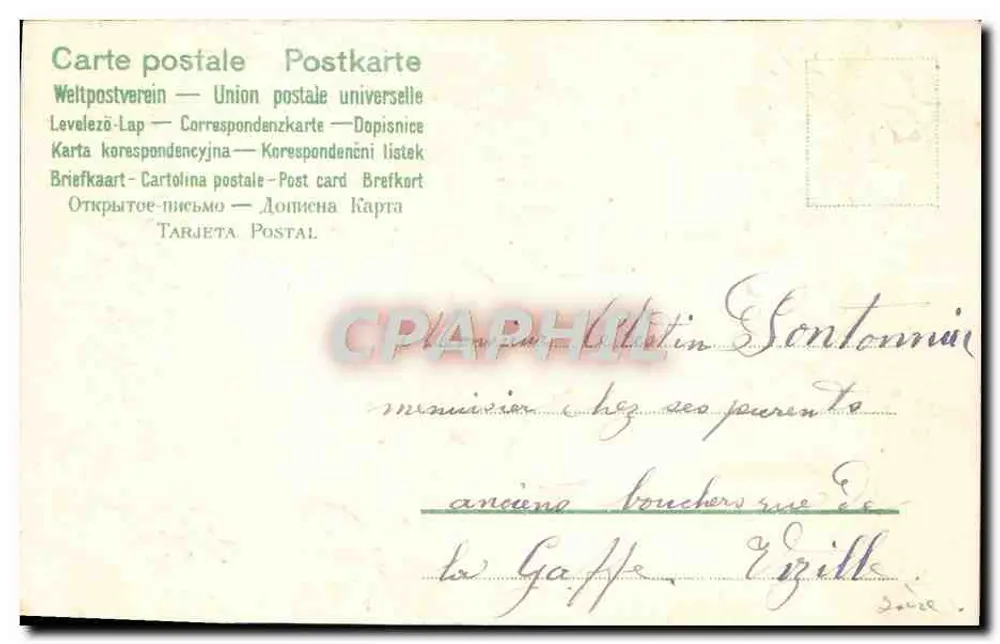 Cupidino — cartolina di auguri con viola — editore sconosciuto, numero di serie non visibile - Verso