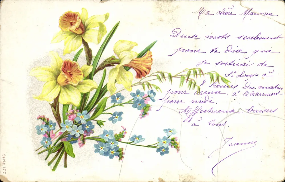 Bouquet de narcisses et d'oublies — éditeur 'Série 177' — n° de série 177 visible en bas à gauche - Frente