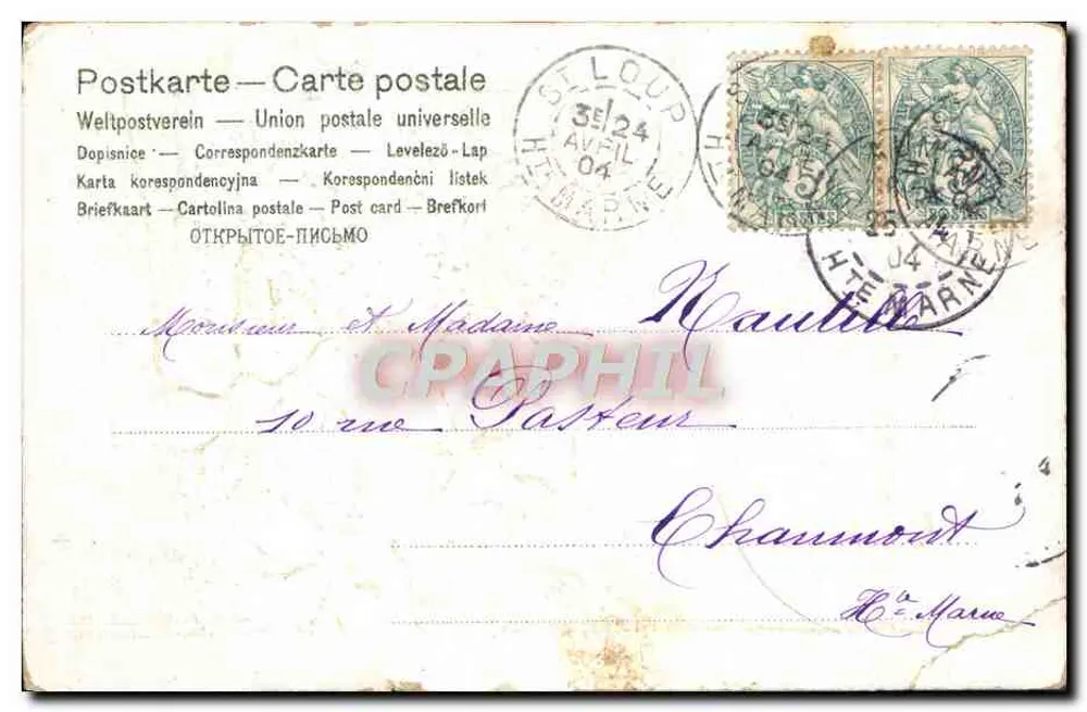 Bouquet de narcisses et d'oublies — éditeur 'Série 177' — n° de série 177 visible en bas à gauche - Verso