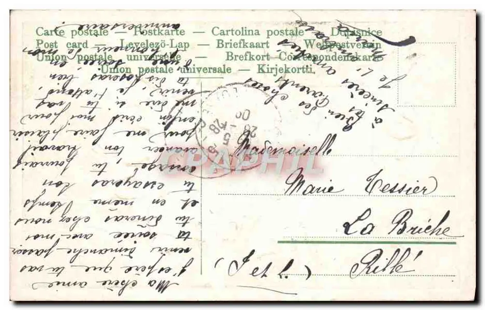 Um Beijo de RILLÉ — carta postal ilustrada com pássaros e flores — editor RILLÉ, n°10 - Verso