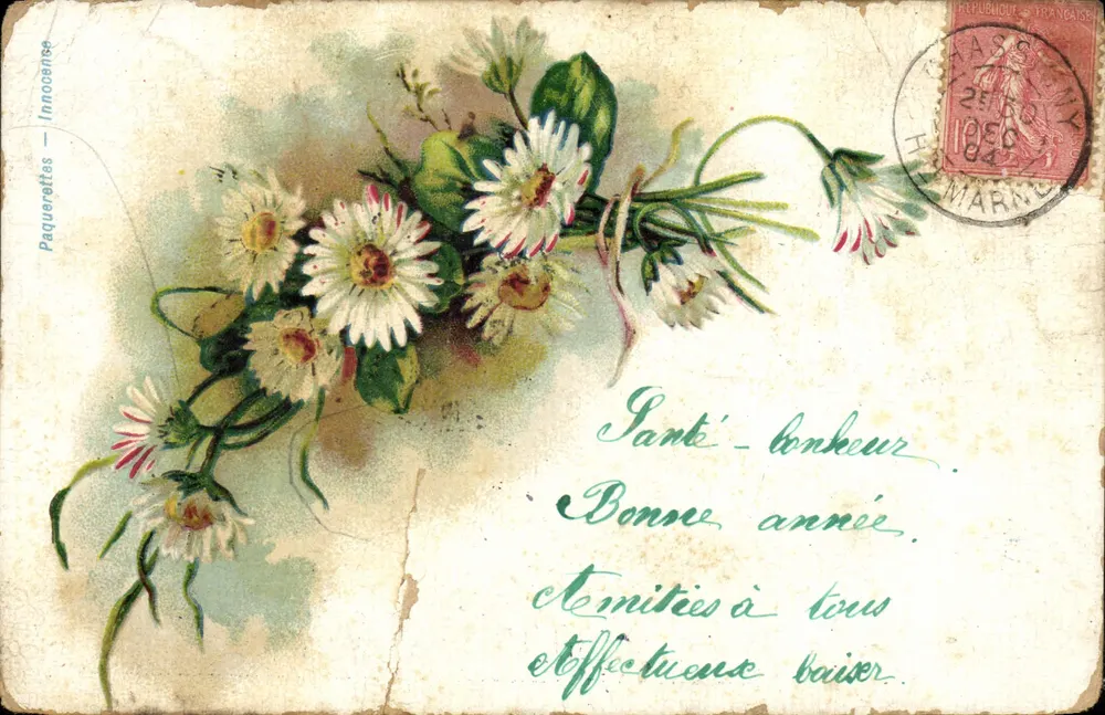 Paquerettes — bouquet de fleurs blanches — éditeur Innocence - Frente