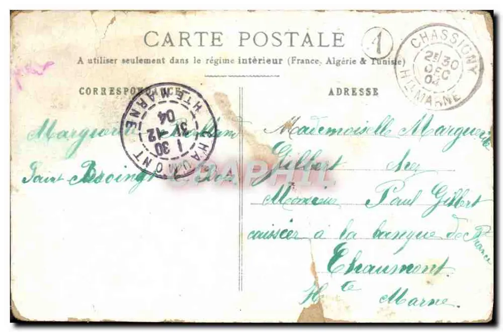 Paquerettes — bouquet de fleurs blanches — éditeur Innocence - Verso