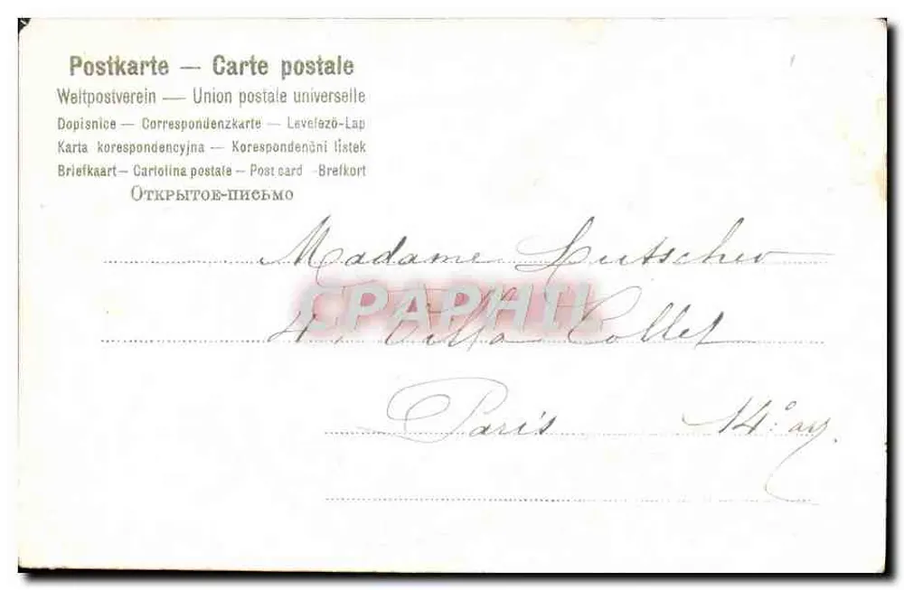 Pássaros sobre paleta — Aniversário — Editora não visível - Verso