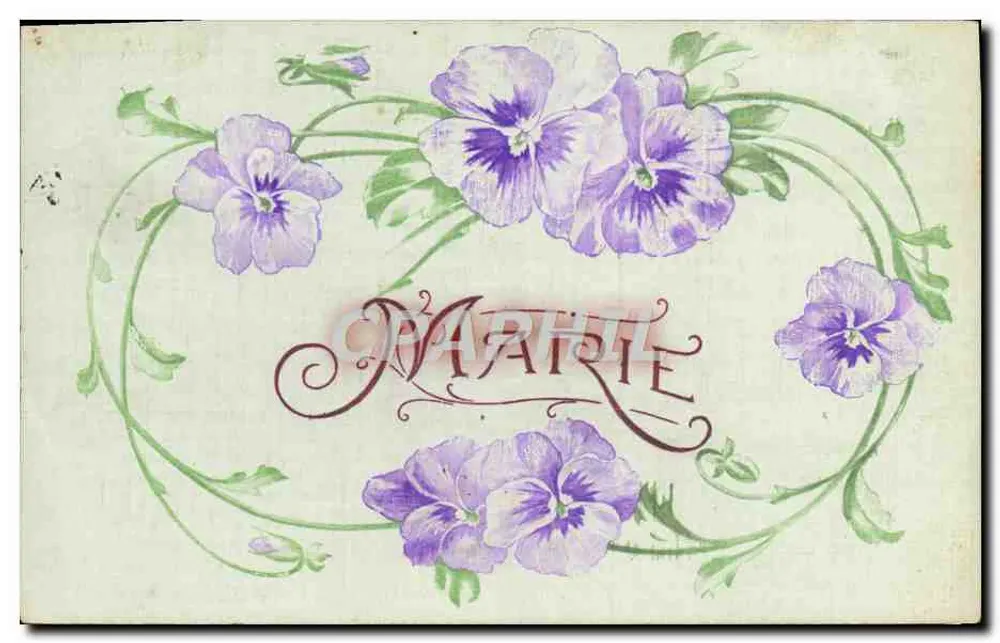 Casamento — Carte postale decorada com violetas — editor desconhecido - Frente