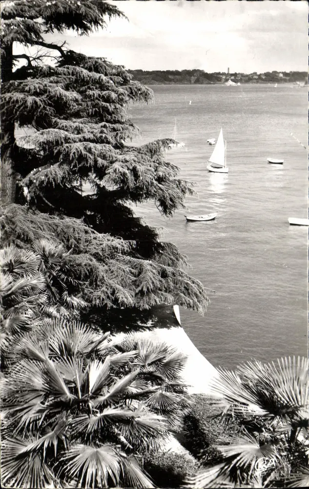 Dinard — A Promenade do Clair de Lune — Bilhete postal antigo n°224 - Frente