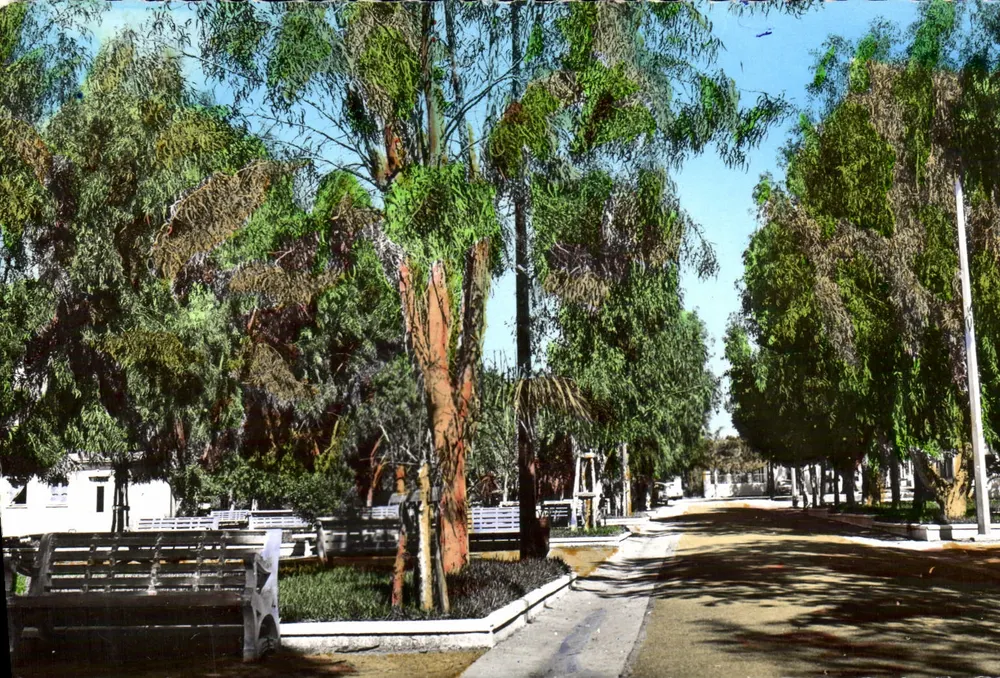 National Professional School of the Air — Students' Course - Central Avenue — Jomone - Vorderseite