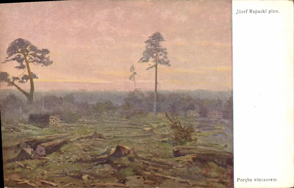 Paisagem de floresta desmatada — pôr do sol — Józef Rapacki, editor A. Chładowski, n° 574 - Frente