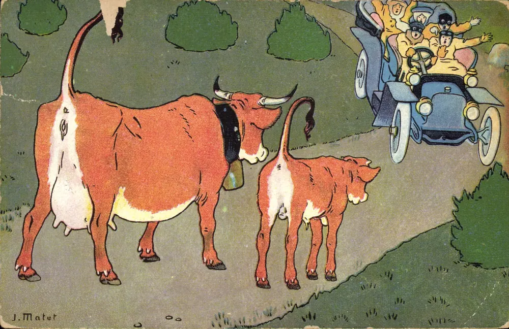 Vaches sur route — scène de rencontre avec voiture — J. Matet - Anverso