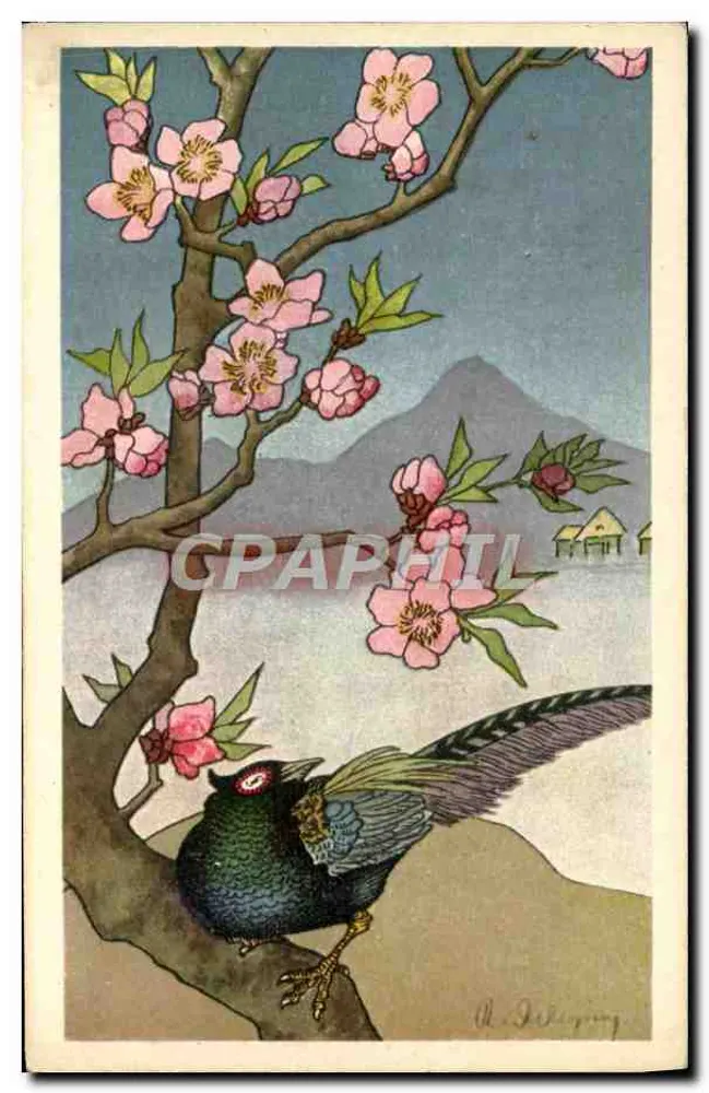 Pássaro em galho de pessegueiro em flor — paisagem de montanha — A. Schäfer, n° 175/2 - Frente