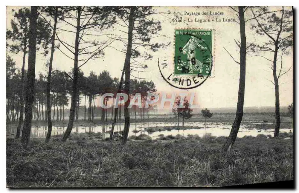 Paisagem dos Landes - Pinheiro - A Lagoa - A Terra - editor não identificado, número de série não visível - Frente