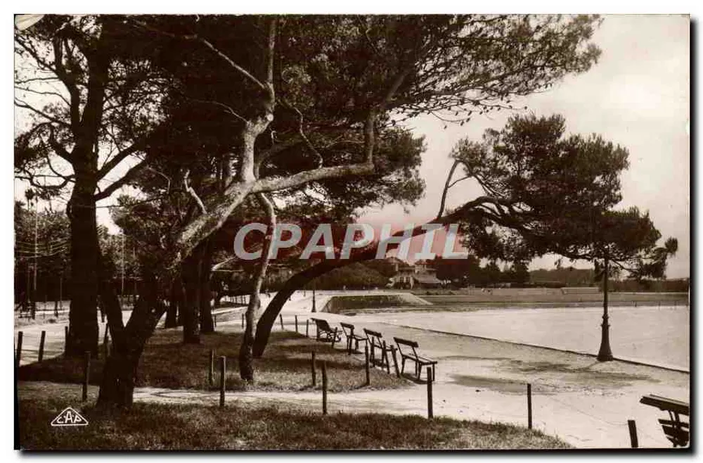 A Praia entre os Pinheiros — La Rochelle — C.A.P. Strasbourg - Frente