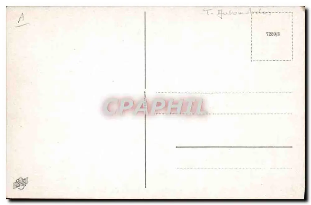 Casal recém-casado — casal em um carro azul com coração — editor WHILS, n° 7239/2 - Verso