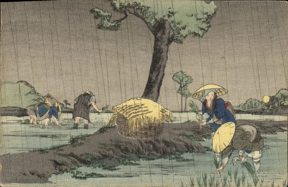 Scène de rizière sous la pluie — Japon — éditeur non visible - Frente
