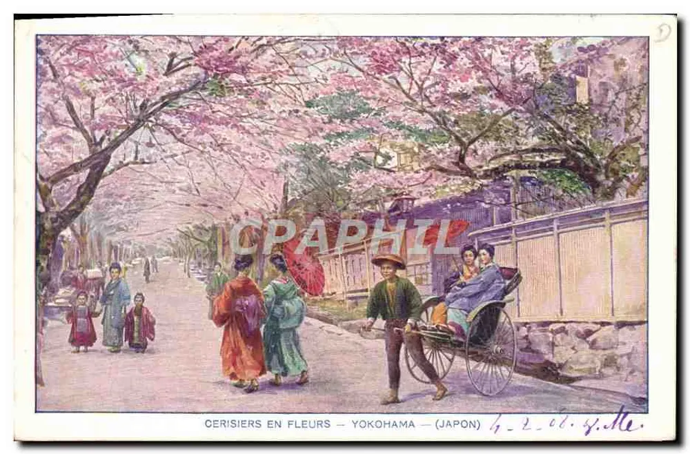 Kirschbäume in Blüte — Yokohama — (Japan) - Vorderseite