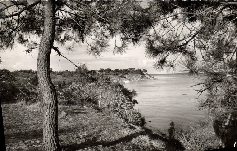 Ilha de Ré — As Margens da Costa — Cie des Arts Photomécaniques, Paris - Frente