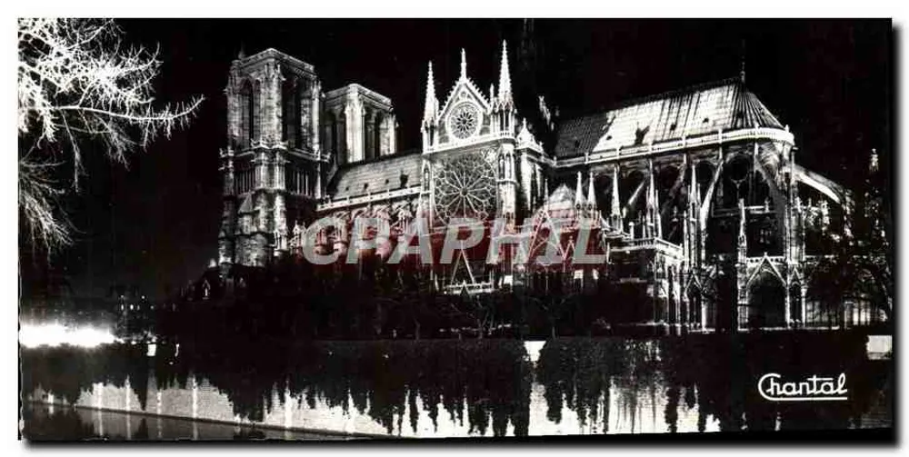 Paris — Notre-Dame illuminée — Photographie Chantal - Frente