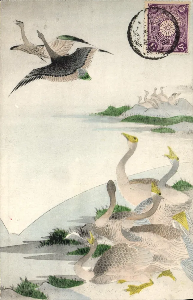 Gansos e patos selvagens — Japão — edição não identificada - Frente