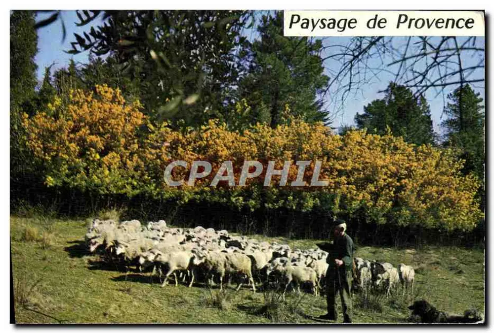 Paisagem da Provência — Costa Azul — Éditions Montluet, Nice - Frente