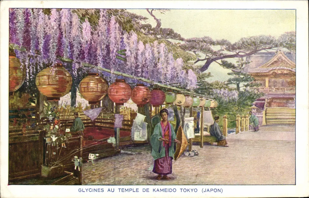 Wisterien am Kameido-Tempel, Tokio (Japan) — Union Universelle, künstlerische Serie - Vorderseite