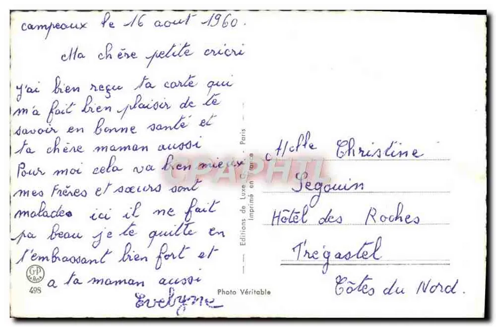 Pansies em um cesto — Edições de Luxe, Paris, n°495 - Verso