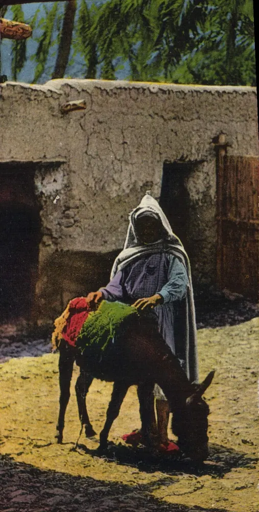 Mulher coberta com véu a cavalo — Argélia — editor L'Aniel, n° 8608 - Frente