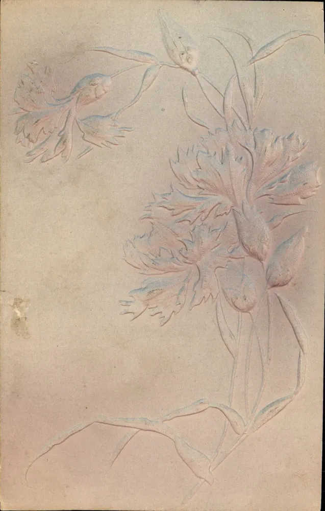 Flores de carthame — desenho a tinta e pastel — Carte postale française - Frente