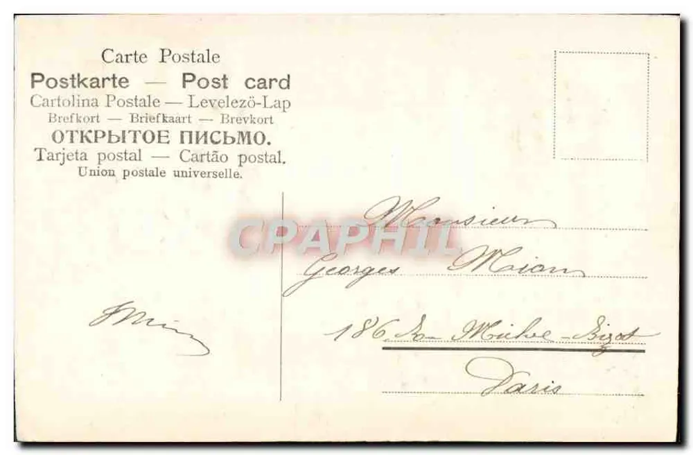 Flores de lavanda — 21 de Abril de 1909 - Verso
