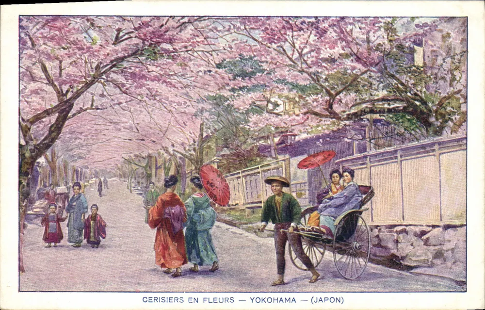 Kirschblüten — Yokohama — (Japan) - Vorderseite