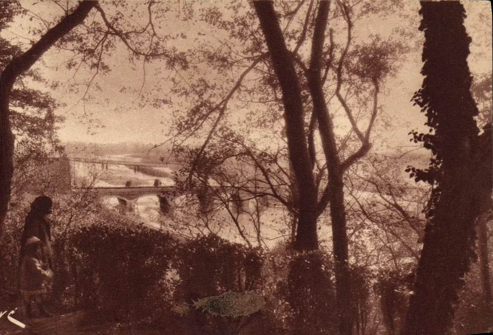 Die Gave-Talansicht vom Nationalpark — Éditions JOVÉ, Pau (B.P.P.) — Nr. 23 - Vorderseite