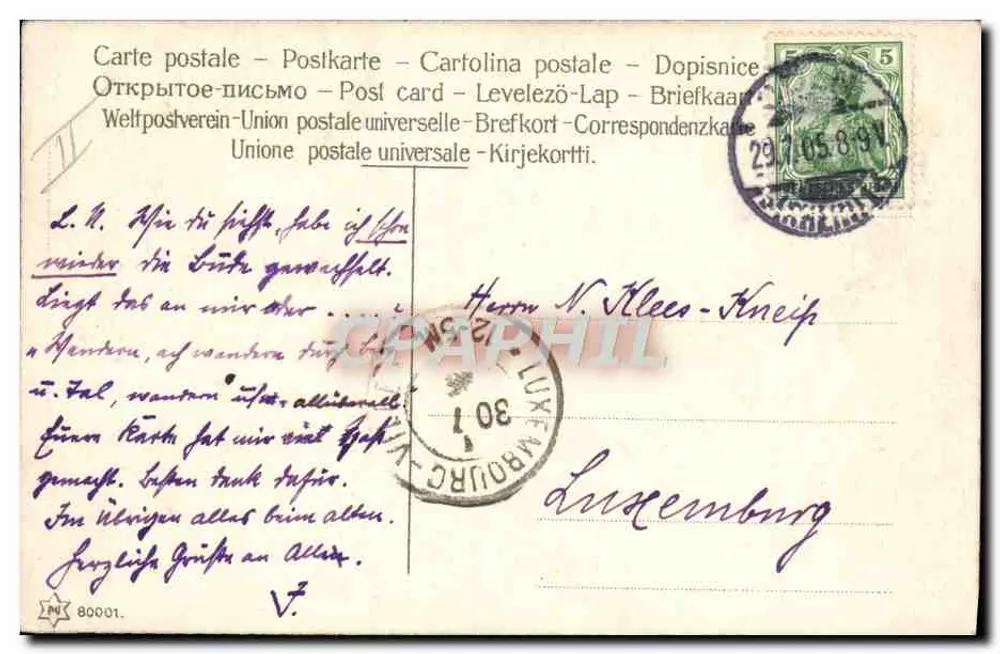 Umzug — 'Junggesellen-Leiden' — Fran Paschedag, Nr. 51002 - Rückseite