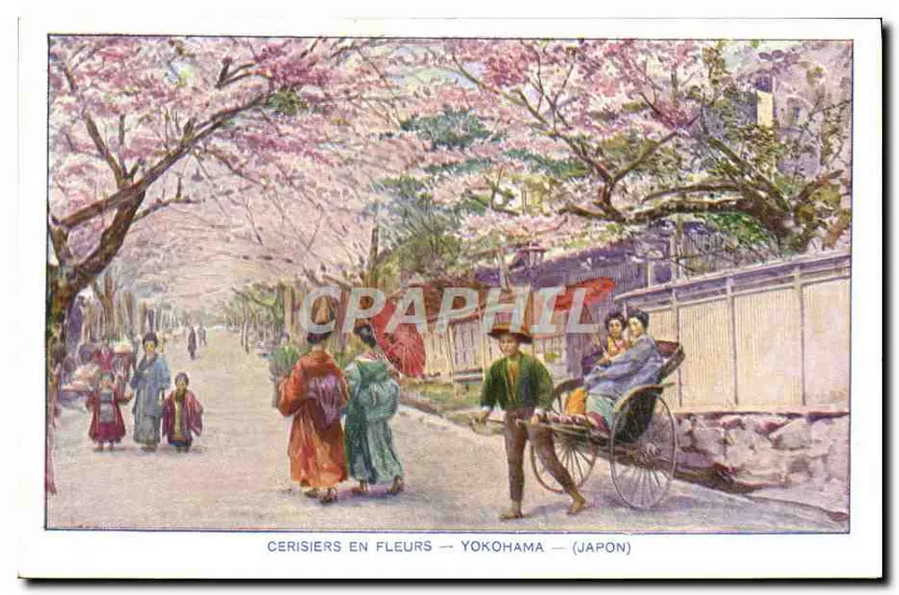 Cherry Blossoms — Yokohama — (Japan) - Vorderseite