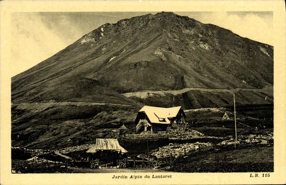 Jardim Alpino do Lautaret — visão do maciço montanhoso — L.B. 115 - Frente