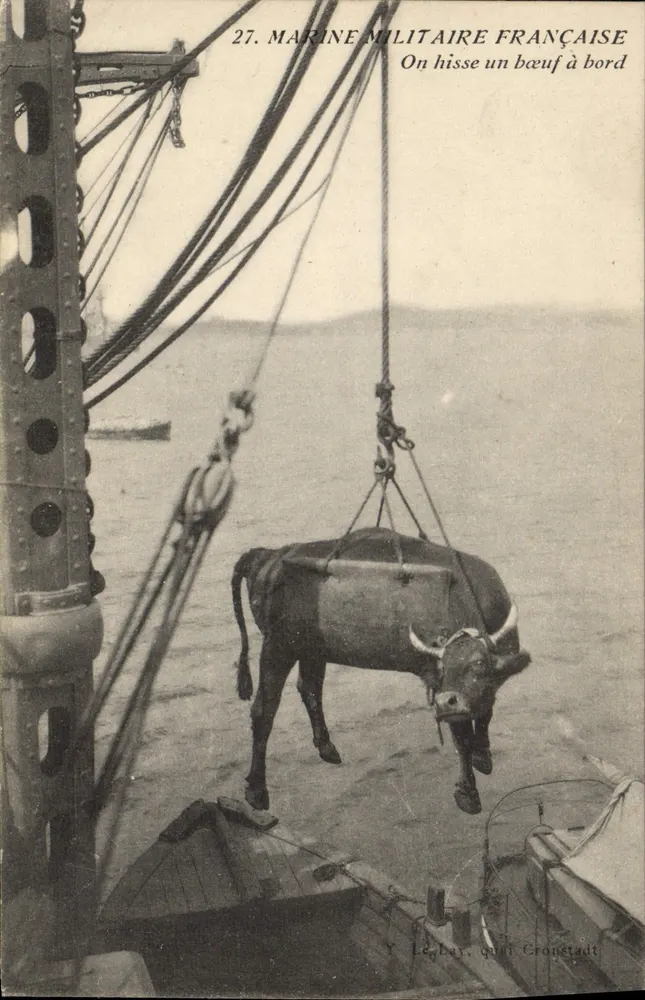 Französische Marine — Ein Rind wird an Bord gehoben — Le Bay, Cronetadt Kai - Vorderseite