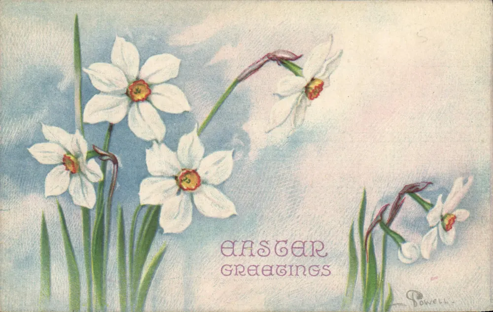 Narcisos — Parabéns de Páscoa — Powell - Frente
