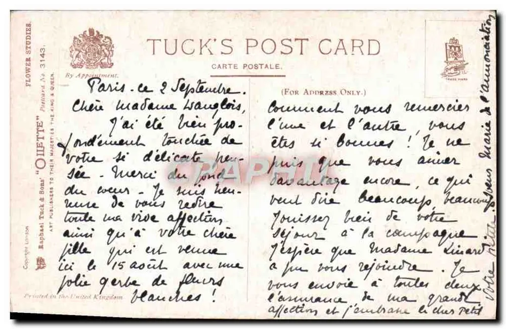 Narcisos — pintura aquarelada — Tuck's Post Card n°3143 - Verso