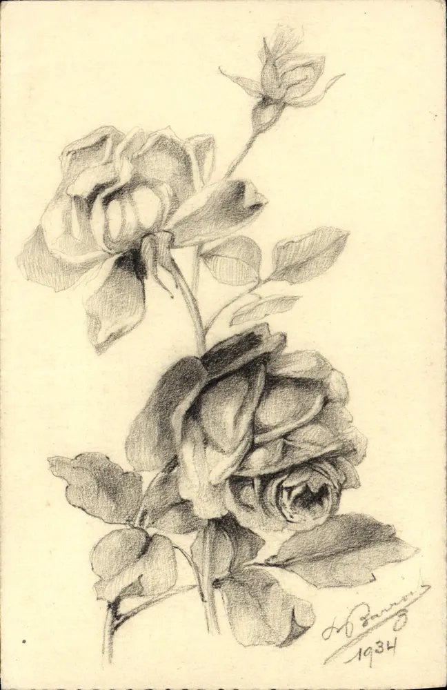 Rosas — desenho a lápis — H. Bannier, 1934 - Frente