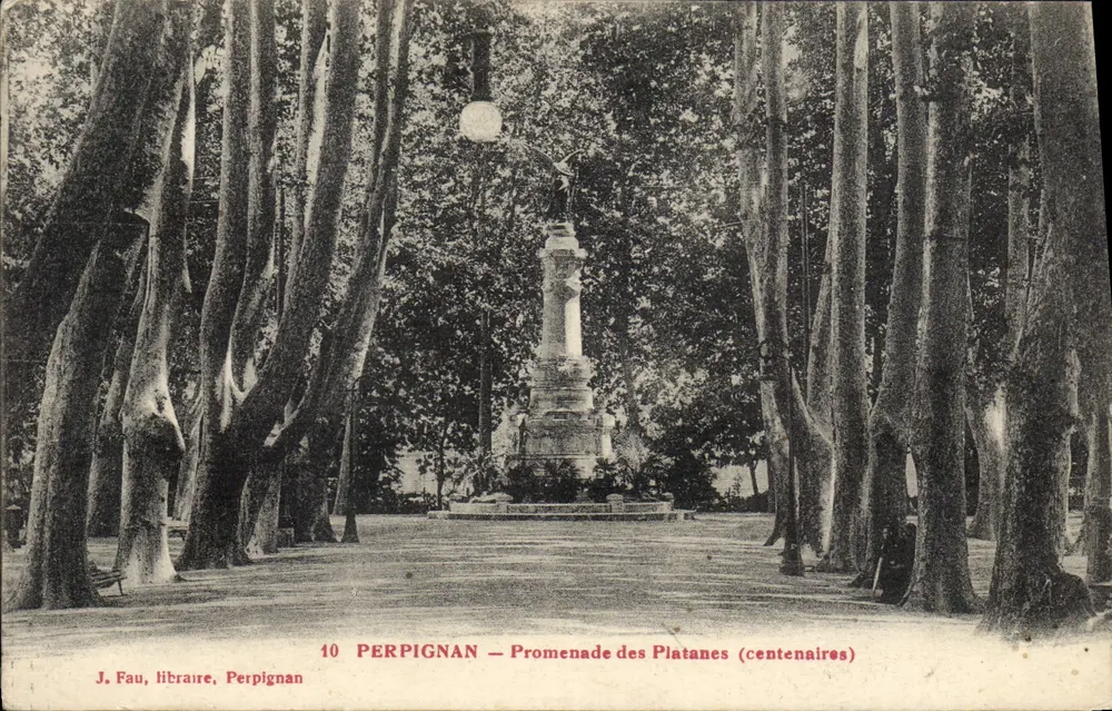 Perpignan — Promenade dos Platanes (centenários) — J. Fau, livreiro, Perpignan - Frente