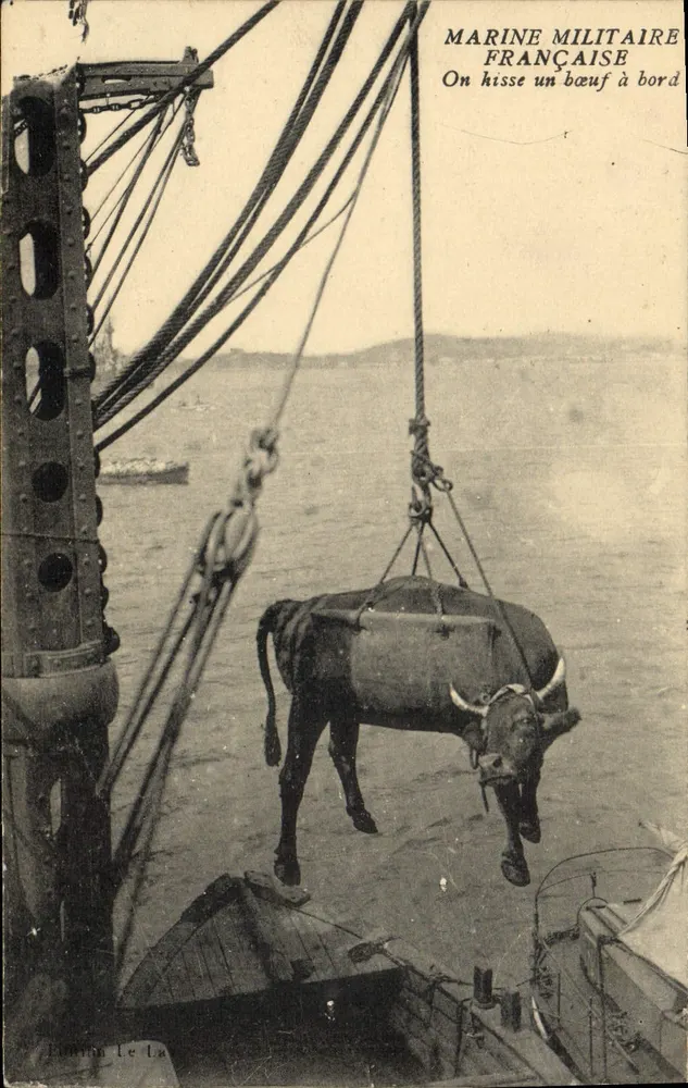 Französische Marine — Ein Rind wird an Bord gehievt — Verlag Le La - Vorderseite
