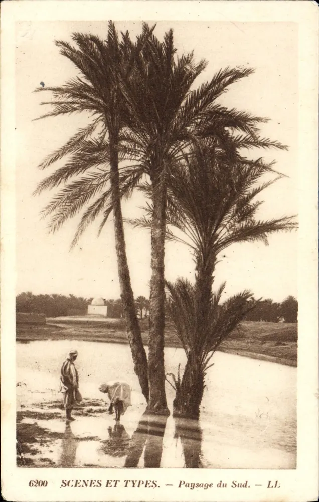 Paisagem do Sul — SCENES ET TYPES — LI. — n° 6200 - Frente