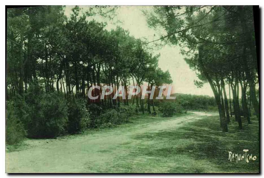 Floresta de Saint-Denis — Ilha de Oléron — Edições Artísticas Raymond Bergevin - Frente