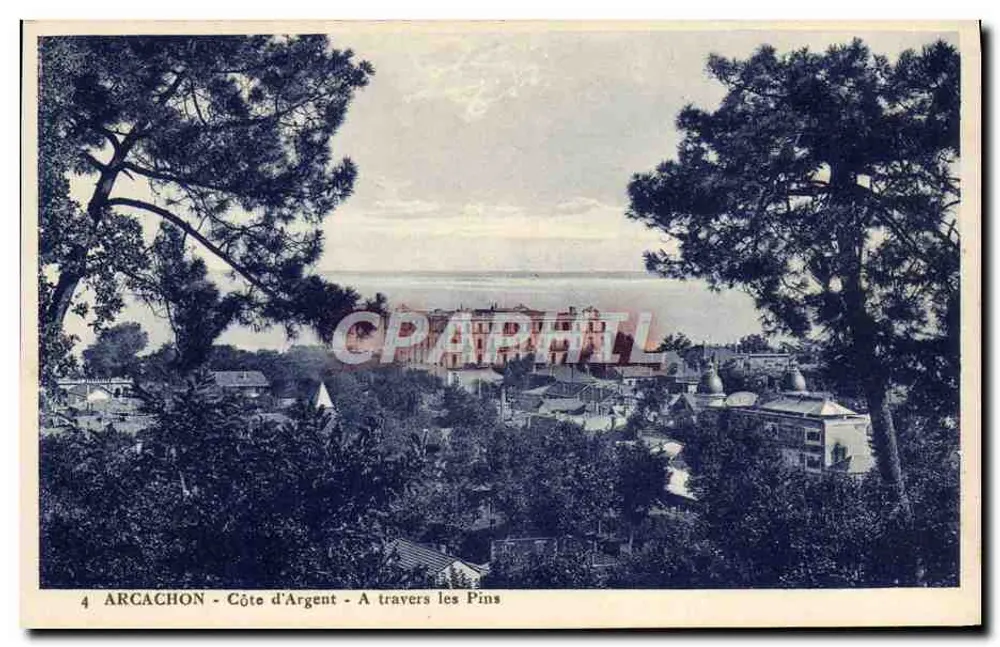 Arcachon - Côte d'Argent - Przez sosny - Awers