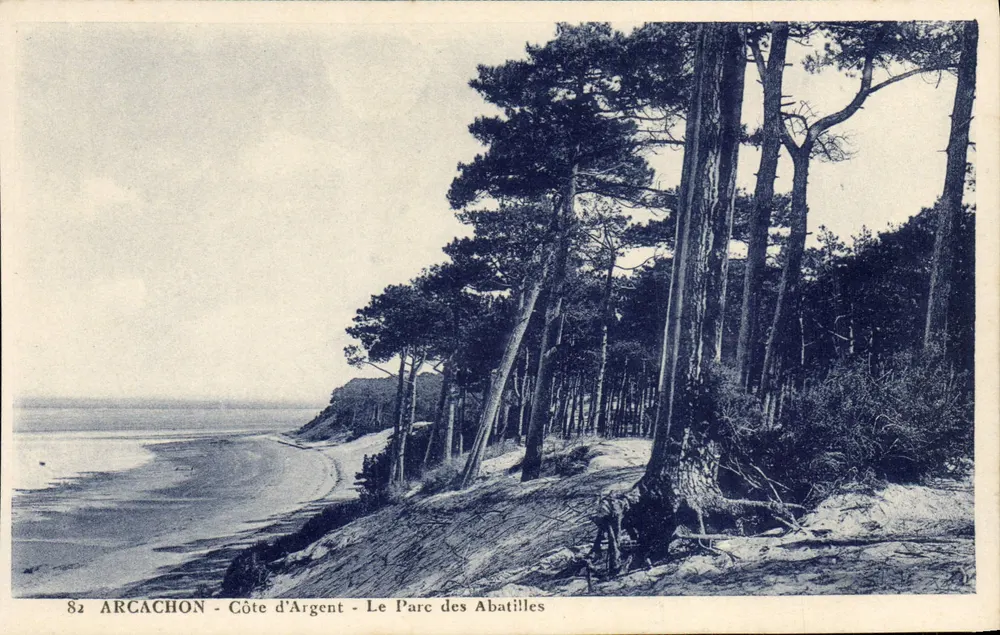 Arcachon - Côte d'Argent - O Parque dos Abatilles — Edição especial Au Souvenir de la Côte d'Argent, Arcachon - Frente