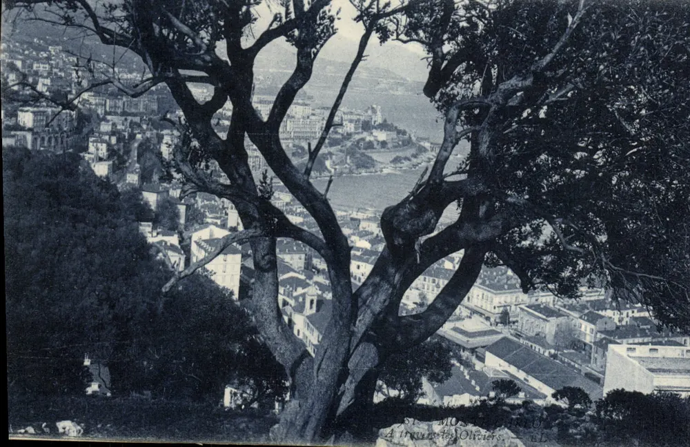 Saint-Maurice-d'Alpes — Vista desde os Oliviers — Editor B.L. - Frente