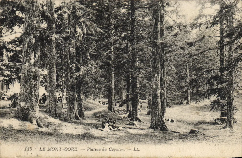 O Mont-Dore — Plateau do Capucin — LL. — n°135 - Frente