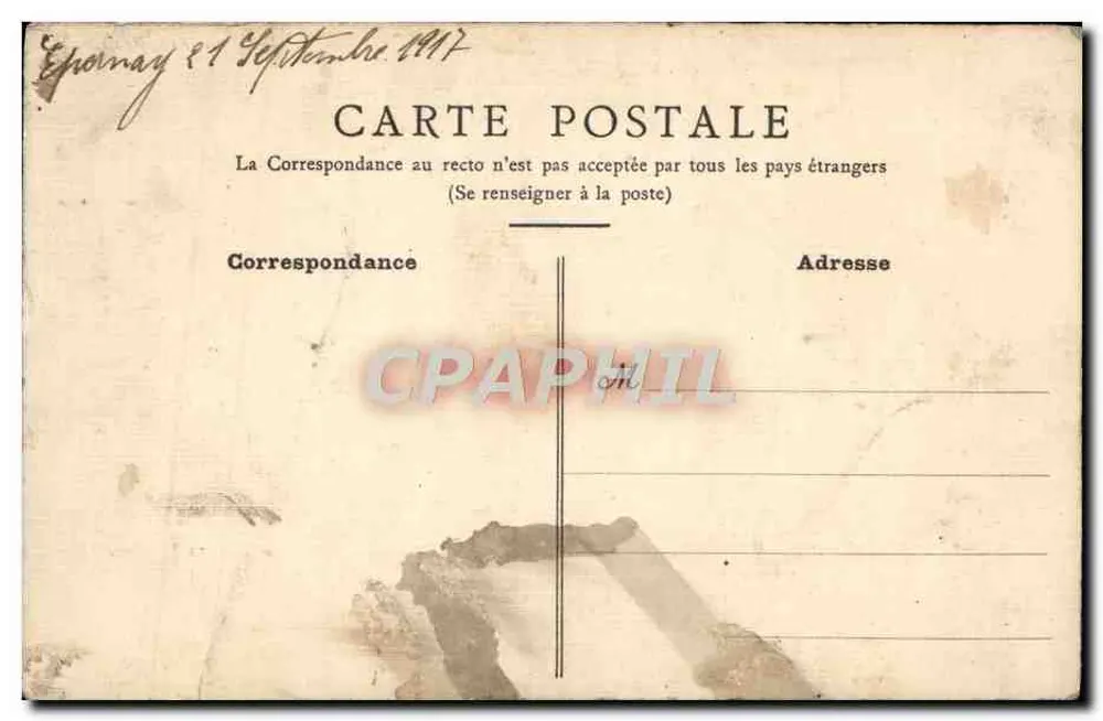 Castelo de Chornay — vista de campo com violetas — cartão postal - Verso