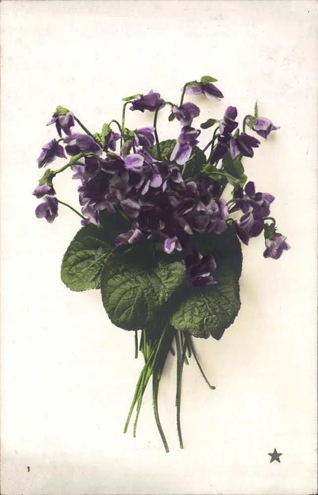 Buquê de violetas — edição ilustrada — Marca 'ÉTOILE' 2, rue d'Amsterdam, Paris - Frente