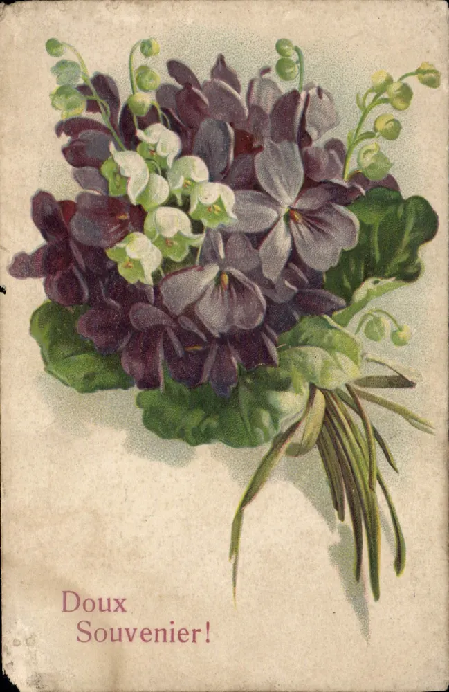 Bouquet de violettes et de muguet — illustration colorisée — éditeur non visible - Awers